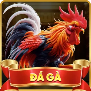 Các loại trò chơi slot phổ biến