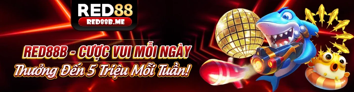 Giao diện ứng dụng 88kim info trên điện thoại